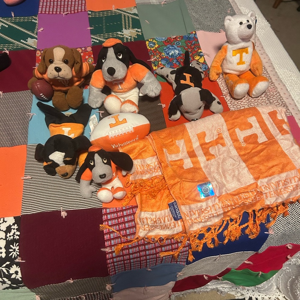 Tennessee Volunteers Fan Set